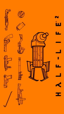 Plakát Half Life 2