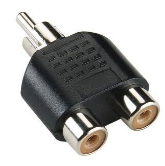 2RCA samice na RCA samec redukce